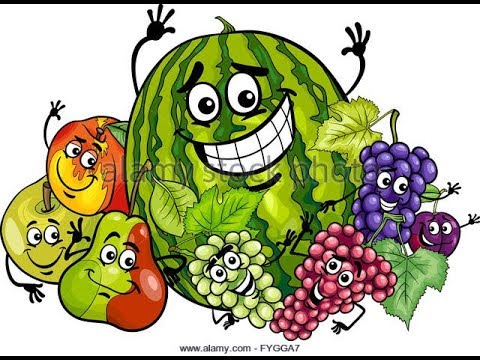 Učimo voće nazivi voća