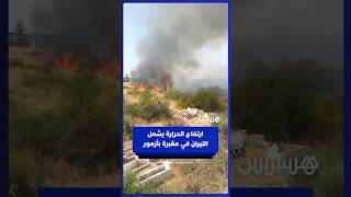 ارتفاع الحرارة يشعل النيران في مقبرة بأزمور thumbnail