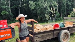 Some Are, Some Ain’t || Tater Harvest 2025