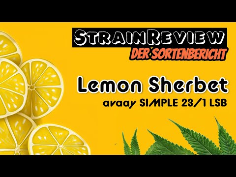 Der medizinische Sortenbericht  - Lemon Sherbet - avaay SIMPLE 23/1 LSB