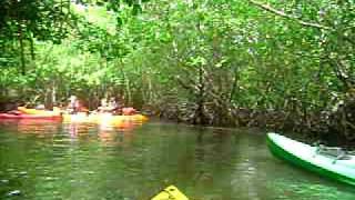 preview picture of video 'Club Kayak Aqua Sports LAS CROABAS BIO BAY MANGLE DAY TRIP'