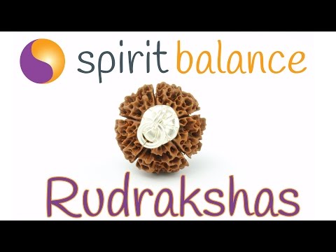 Rudrakshas: Besondere Kraftobjekte mit starker positiver Schwingung