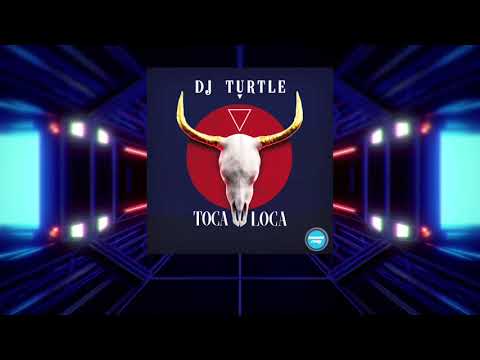 DJ Turtle - Toca Loca