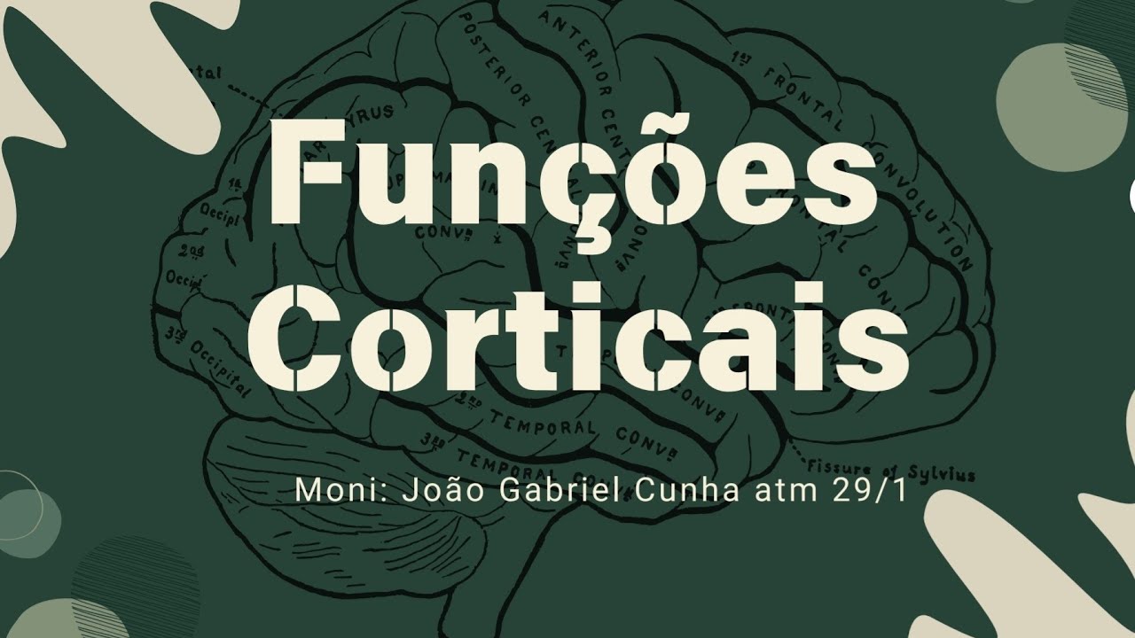 Aula Funções Corticais - com legenda