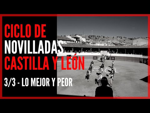 Especial Ciclo de Novilladas 🧱 Castilla y León 🦁 – LO MEJOR Y PEOR