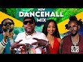 NEW DANCEHALL MIX 2025 VYBZ KARTEL SHENSEEA SKILLIBENG POPCAAN TOMMY LEE KRAFF MOLIY SKENG
