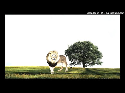 Zuhura & Party - Humvui Alovikwa (Official Taarab Music)