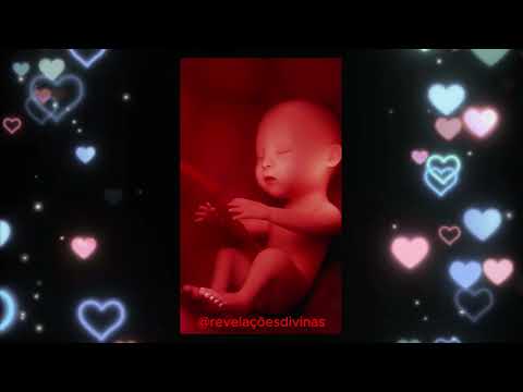 ? Assistolia Fetal: Violação dos Direitos Humanos! ?#DireitosHumanos #AssistoliaFetal #protesto