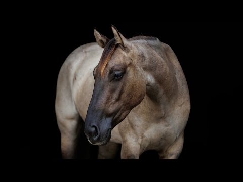 youtube preview