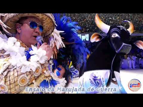 Boi Caprichoso 2013/ Ensaio para a gravação do DVD/ DAVID ASSAYAG E MARUJADA DE GUERRA.