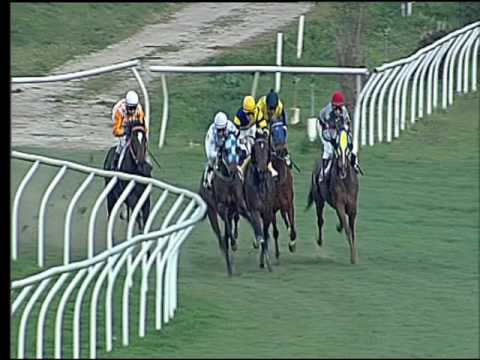 Galoppo 28/02/2017 - 1ª corsa