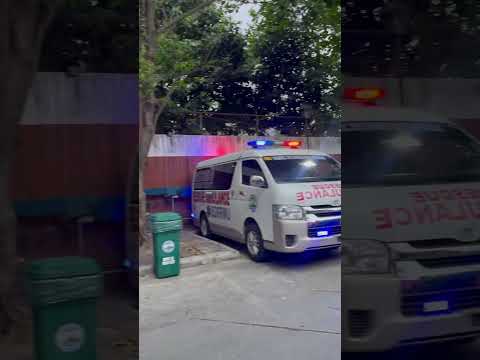 76 Ambulance 1 and 2 - New Blue - White Dashboard Blinkers.