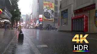Typhoon No.13 made landfall on September 5, 2025, in Shinjuku.