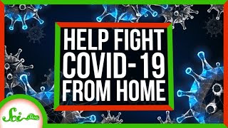 3 Ways You Can Join the Citizen Scientists Fighting COVID-19