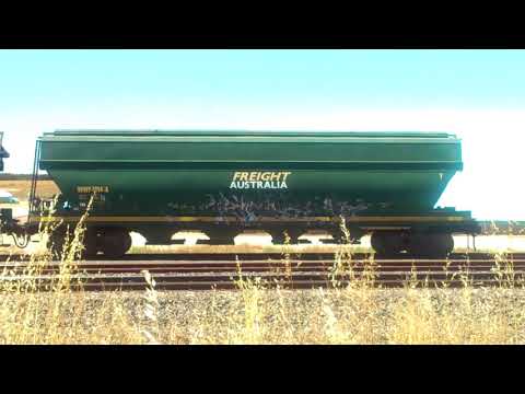 Freight Australia Grain wagons at Westmere