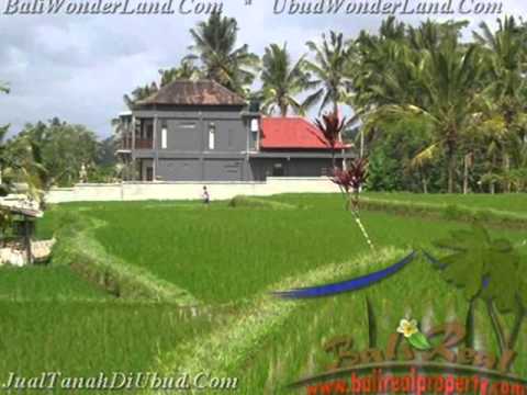 2.100 m2 Lahan view sawah gunung dan tebing di Ubud TJUB423 2.100 m2 Lahan view sawah gunung dan tebing di Ubud TJUB423