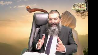 הרב ליאור גלזר פרשת כי תצא "יביא אומר" רב מקדים הרב שמעון מועלם (דר וסוחרת - הלוויין של מרן) - התמונה מוצגת ישירות מתוך אתר האינטרנט יוטיוב. זכויות היוצרים בתמונה שייכות ליוצרה. קישור קרדיט למקור התוכן נמצא בתוך דף הסרטון הרב ליאור גלזר פרשת כי תצא "יביא אומר" רב מקדים הרב שמעון מועלם (דר וסוחרת - הלוויין של מרן) - התמונה מוצגת ישירות מתוך אתר האינטרנט יוטיוב. זכויות היוצרים בתמונה שייכות ליוצרה. קישור קרדיט למקור התוכן נמצא בתוך דף הסרטון