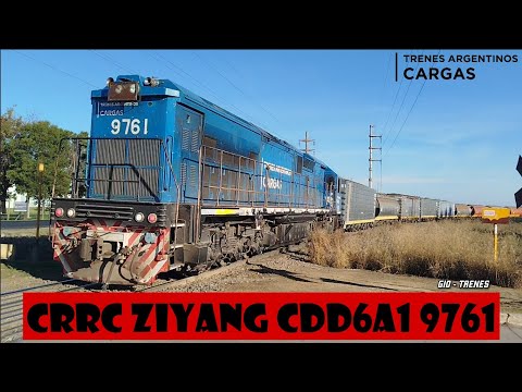 CRRC Ziyang CDD6A1 9761 de TAC (Línea Belgrano) con un cargado hacia Terminal 6