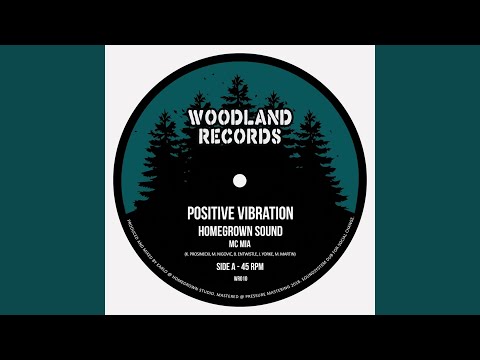 Positive Vibration (feat. MC Mia)