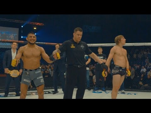 Warrior Series: CW82