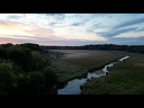 Water Shedding: The Delicate Balance of Hydrology | Community Health