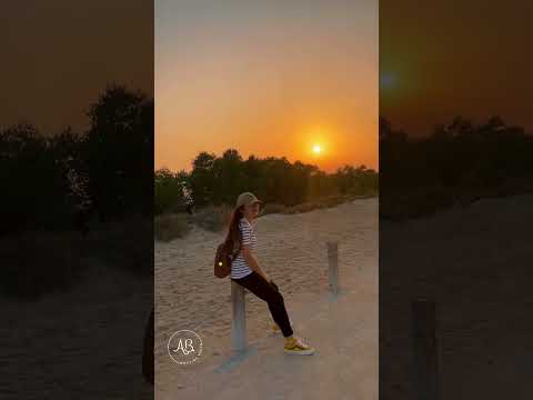 Life Will Begin Again.