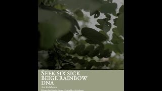 Seek Six Sick - Beige Rainbow - DNA