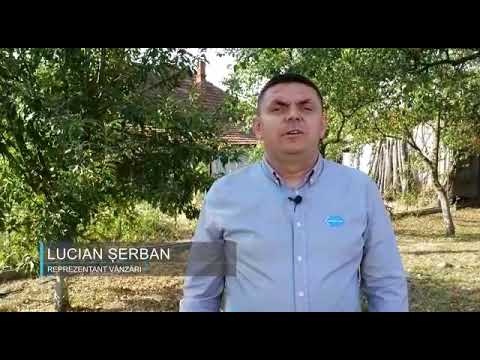 Delfan Plus - Didea Ionut - Ferma Codruta - Zorlesti - Prigoria - Gorj