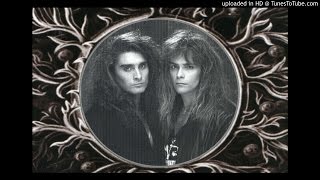 WINTER ROSE ~ I&#39;ll Never Fall In Love Again