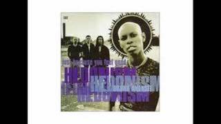 Skunk Anansie - Song Recovery