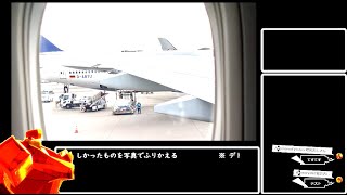 【雑談】米国でみた気になったもの雑談【猫 クルマ 道路 飛行機 Detroit:FromHuman】