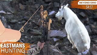 Mountain GOAT with a BOW! Backcountry Hunting (Eastmans&#39; Beyond the Grid)