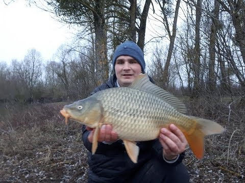 Szybki wypad za Zimowym Karpiem. Spławik i feeder