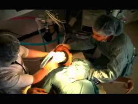 Expedyte - Man Bites Dog - Directed by Sean Litteljohn