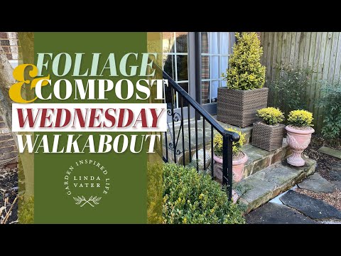 Golden Garden Glow: WW