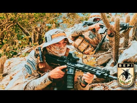 🌵BEPI COTAR | PMCE - Canção TFM / Motivação