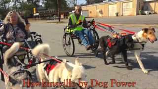 preview picture of video 'Hawkinsville by Dog Power'