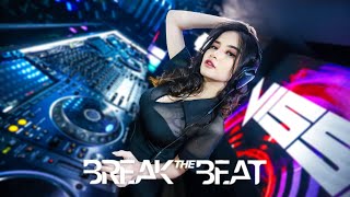 Download lagu A SKY FULL OF STARS REMIX BREAKBEAT PERFORMANCE BY DJ NISSA | EPS 58 SESI 2 mp3 Download lagu A SKY FULL OF STARS REMIX BREAKBEAT PERFORMANCE BY DJ NISSA | EPS 58 SESI 2 mp3