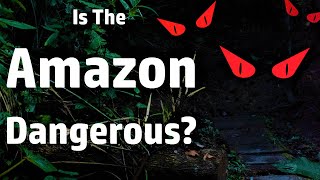 How to Survive the Jungle! what is the Most Dangerous thing in the Rainforest