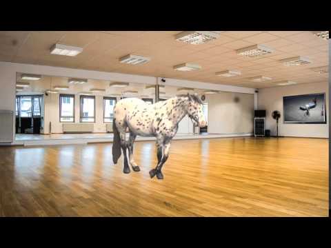 Das Lustige Pferd Scout von Rosi Hochegger übt Tango fleißig in GIF