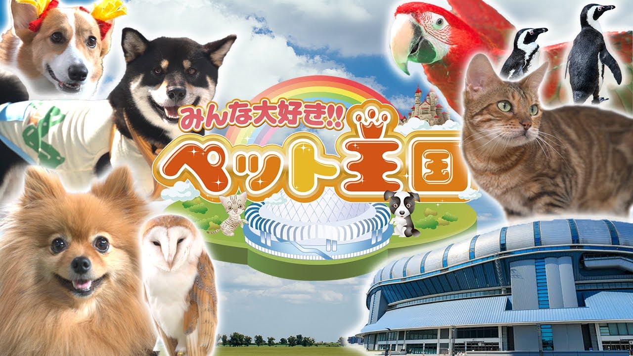 東映株式会社様