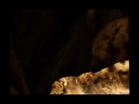 The Backyardigans To The Center Of The Earth 