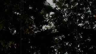 Download lagu Instrument trailer & teaser perahu kertas 1 & 2 mp3