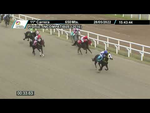 220528 C11 - STORM CLASICO - HIPODROMO LAS PIEDRAS