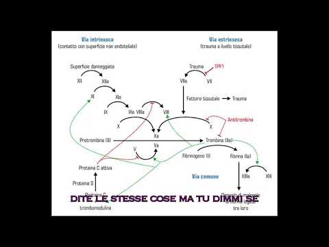 Taras De Manio - CASCATA COAGULAZIONE FREESTYLE