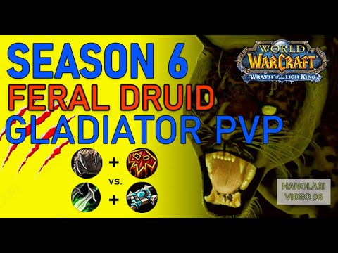 Druid/Shaman vs. Rogue/Priest - Season 6 2v2 Arena Match - Season 5 Gladiator - WOTLK - Video 6