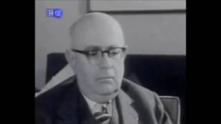 adorno listening to maradona