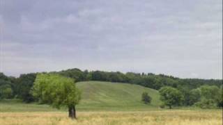 Sandro Perri  Family Tree.wmv