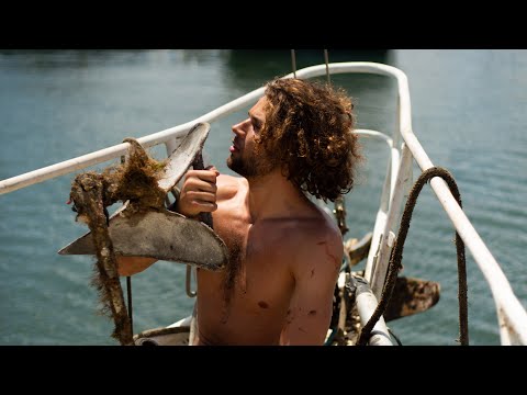 Ep. 65 | Can we continue sailing our boat? -Blue Horizon-