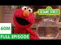 Elmo and Friends Find the Best Pet Ses Elmo and Friends Find the Best Pet Ses